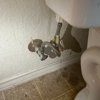 Bailey's Plumbing Services gallery
