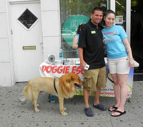 Doggie Escorts, LLC. - Pompano Beach, FL
