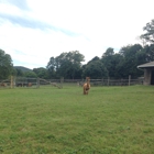 Faraway Farm Alpacas