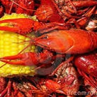 Bernard J Seafood & Crawfish Processors