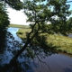 Rachel Carson National Wildlife Refuge