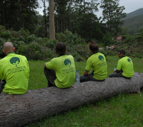 A Accurate Tree Services - Joyner, QLD