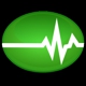 Pulse Technology Consulting Group Inc