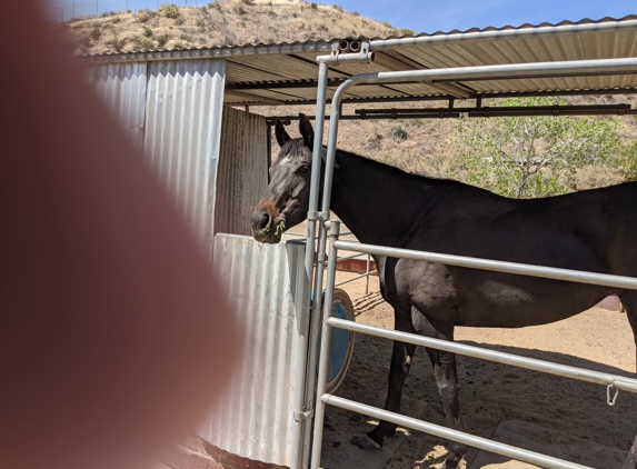 Distant Dreams Ranch - Santa Clarita, CA. Beauty loves Distant Dreams Ranch