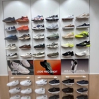 Lacoste San Jose