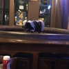 Rock Bar American Grill gallery