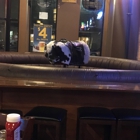 Rock Bar American Grill