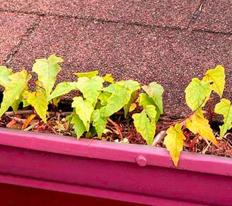 No Clog Gutter System - Ann Arbor, MI