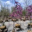 Kurtz Bros Mulch & Soils - Mulches