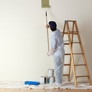 LDN Painters, Inc. - Albany, OR