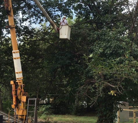 Crenshaw's tree service - Little Rock, AR