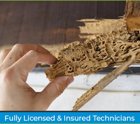 All Pest Solutions - Whiteside, QLD. Fully Licensed & Insured Technicians
