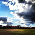 Liberty Ridge Farm