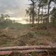 Panhandle Land & Development