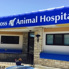 Blue Cross Animal Hospital