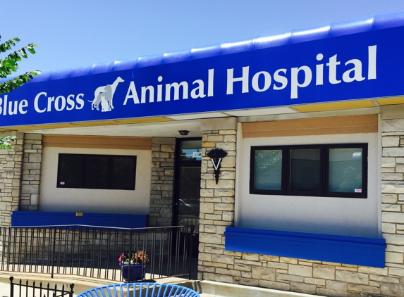 Blue Cross Animal Hospital - Minneapolis, MN