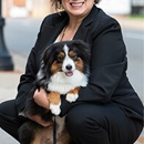 Bristle Law - Attorneys