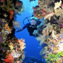 Northeast Scuba - Diving Instruction