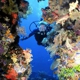 Northeast Scuba