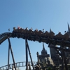 Flight of the Hippogriff gallery