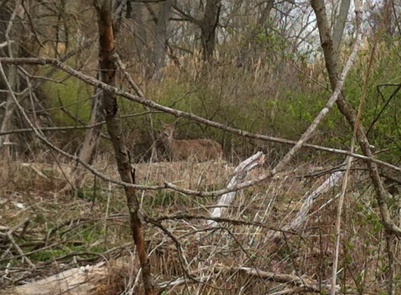 Tifft Nature Preserve - Buffalo, NY