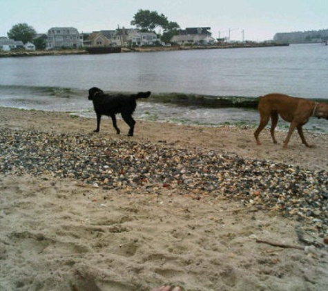 Fisherman's Cove Conservation Area - Manasquan, NJ