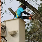 C&C Tree Services of Arkansas