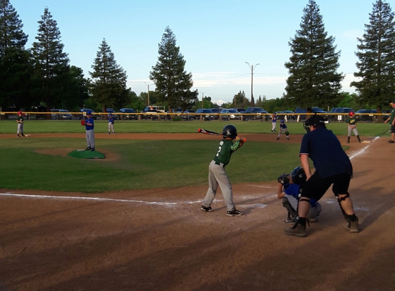 Carmichael Little League - Carmichael, CA