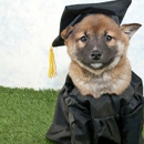 Pups University - Pet Grooming