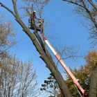 Liscombe Tree Service