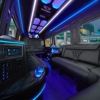 Peters Transit gallery