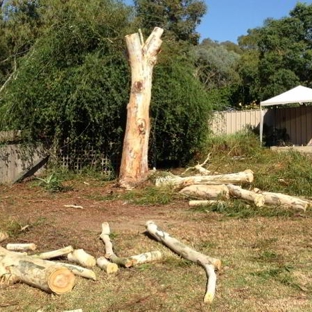 Albury Wodonga Tree & Stump Removal - Staghorn Flat, VIC