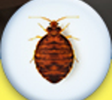 Beeline Pest Control - Clearfield, UT