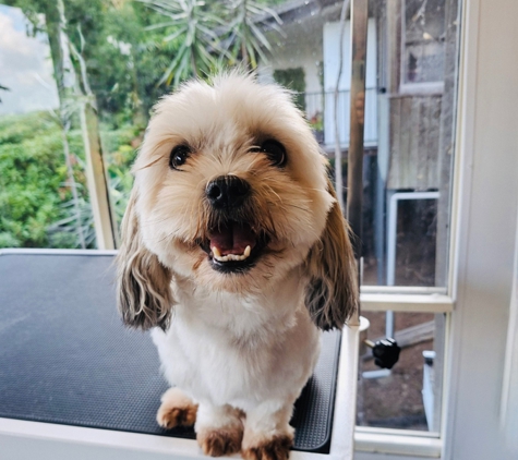 Scrub-A-Dub-Dub Dog & Cat Grooming - Rosemount, QLD