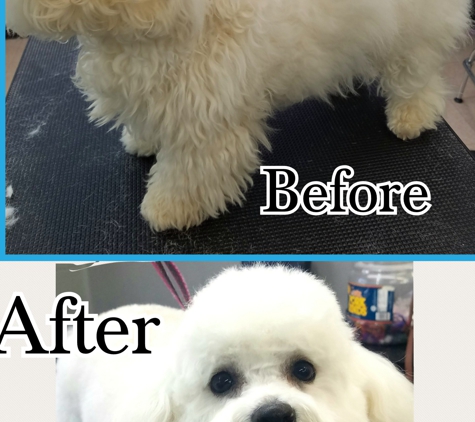 Tattle Tails - Morganton, NC. Finley's Before & After pics����
