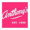 Anthony's Ladies Apparel gallery