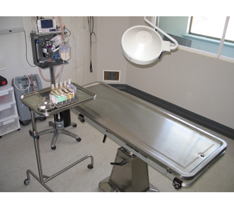 Kalgoorlie Veterinary Clinic - South Kalgoorlie, WA