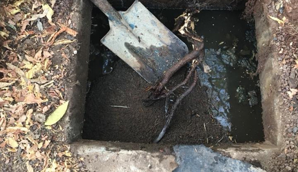 Seymour & District Septic Cleaning - Nagambie, VIC. Tree root blockage. Kilmore, Yea, Nagambie.