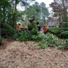 Virginia Land Clearing And Development INC. gallery
