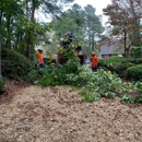 Virginia Land Clearing And Development INC. - Drainage Contractors