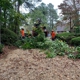 Virginia Land Clearing And Development INC.