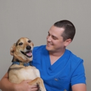 CityVet | Mueller Veterinary Clinic & Urgent Care - Pet Services