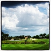 Hammock Bay Golf & Country Club gallery