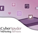 CyberSpyder Marketing Services