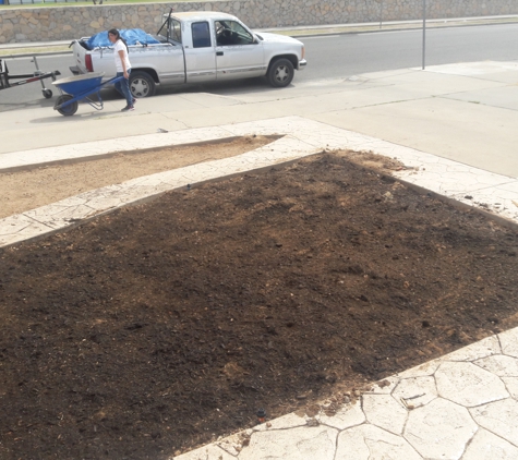 Mr Bs Sod Install - El Paso, TX