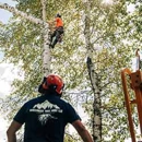 Northwest Tree Care - Tree Service