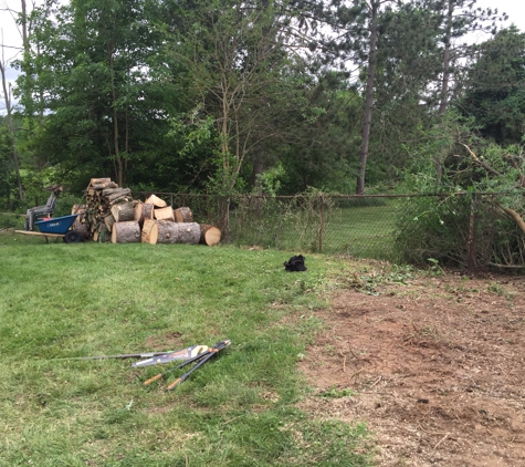 B C Lawn Care & Landscaping. Tree removal job