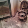 Steri-Clean Fort Worth - Hoarding, Biohazard, Rodent & Extreme Cleaning gallery