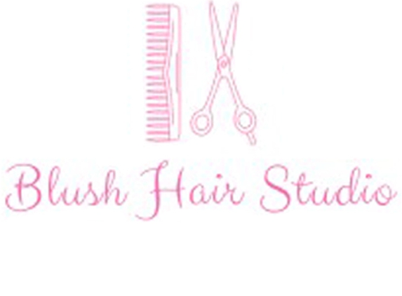 Blush hair Studio - Naperville, IL