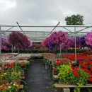 Westland Greenhouse - Lawn & Garden Equipment & Supplies